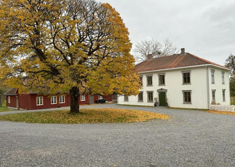 Skolebarn får ny mestringsfølelse på Solum prestegård