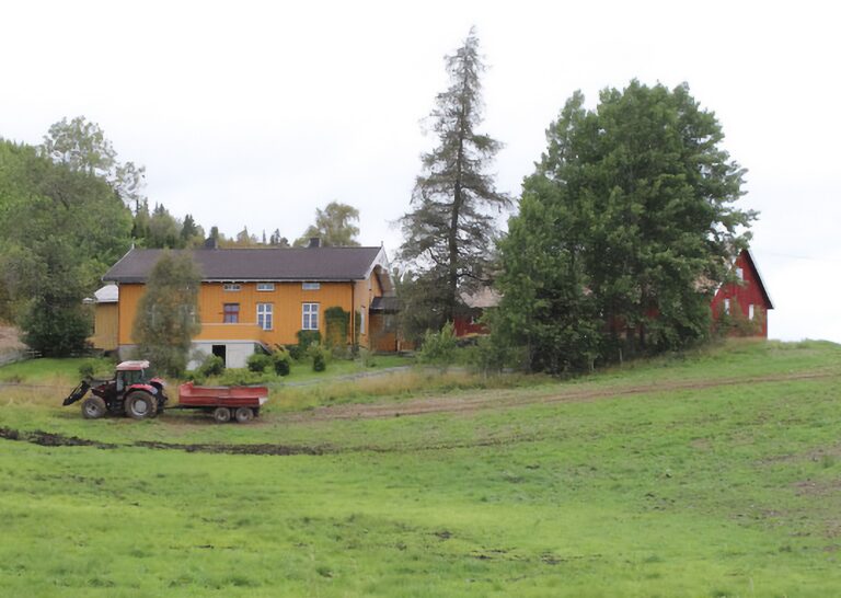 Skolegårdsprosjekt på Rauland prestegård
